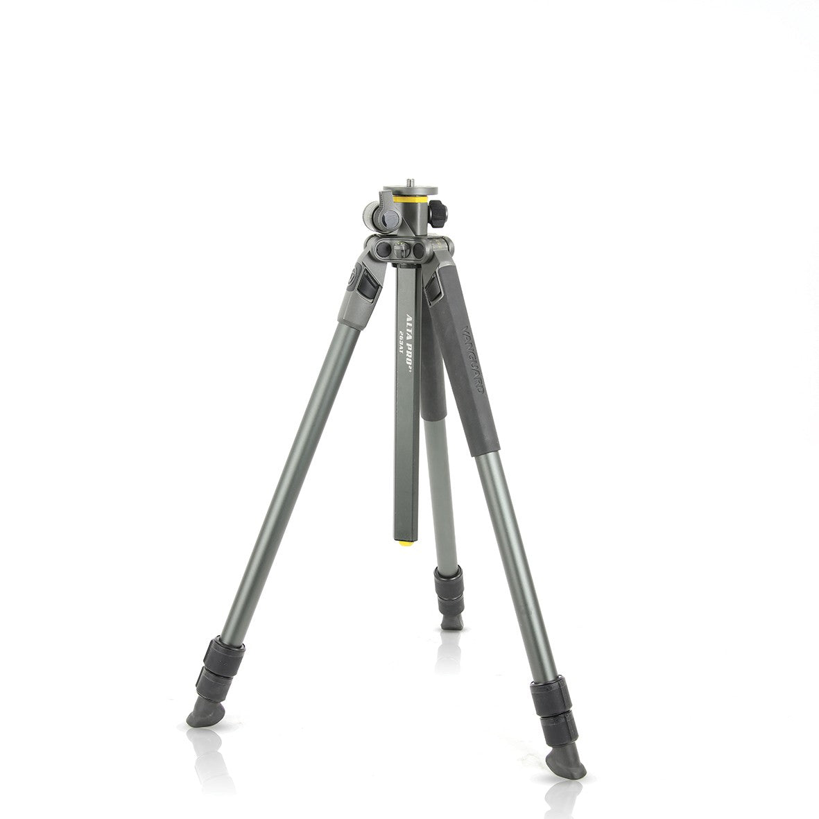Trepied Alta Pro 2+ 263At | Vanguard