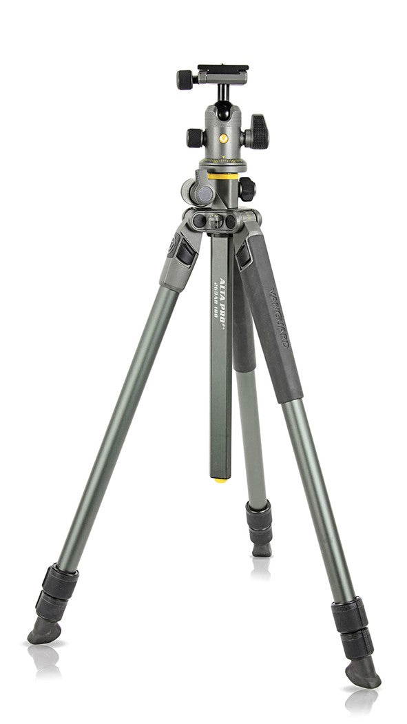 Trepied Alta Pro 2+ 263Ab 100 | Vanguard