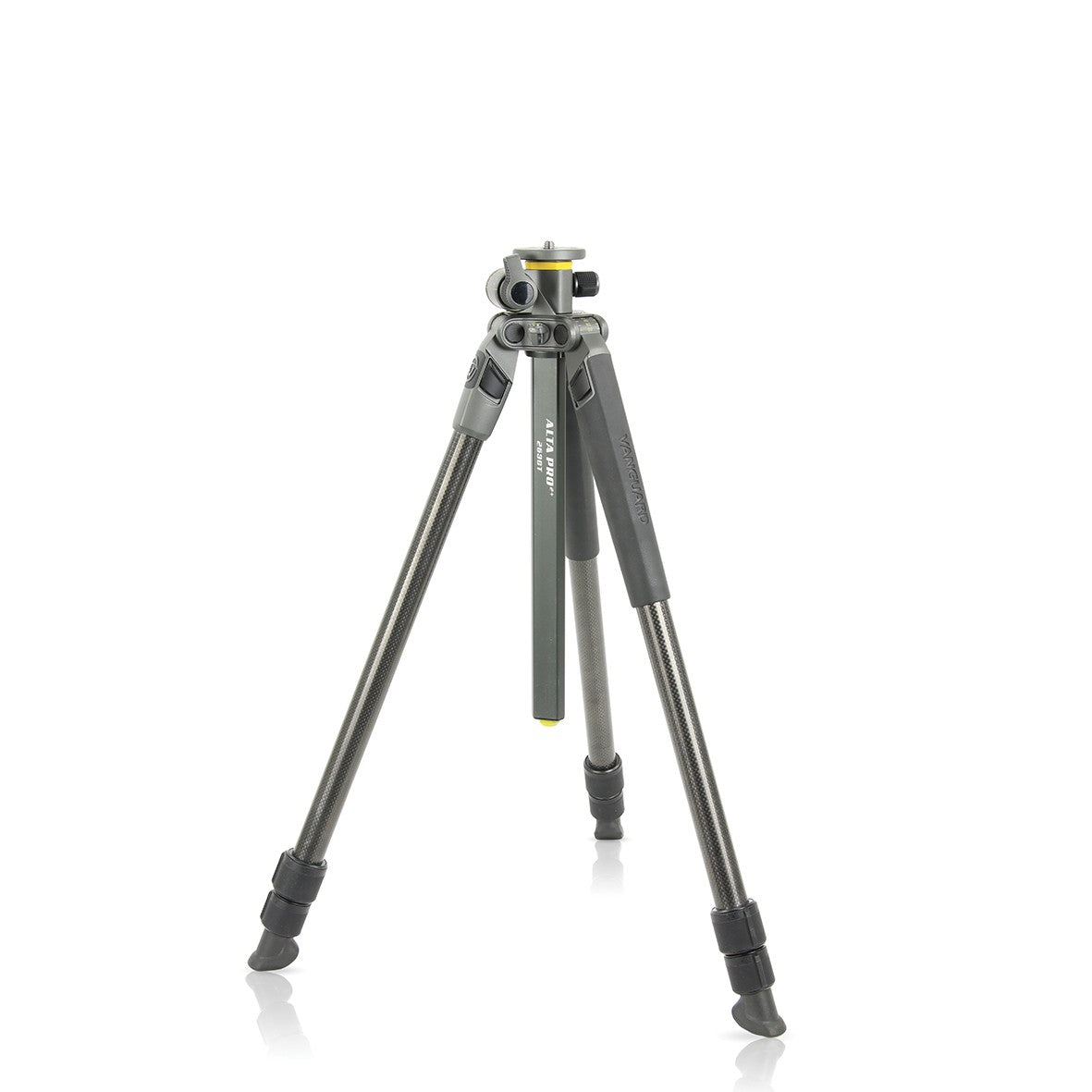 Trepied Alta Pro 2+ 263Cb 100 | Vanguard