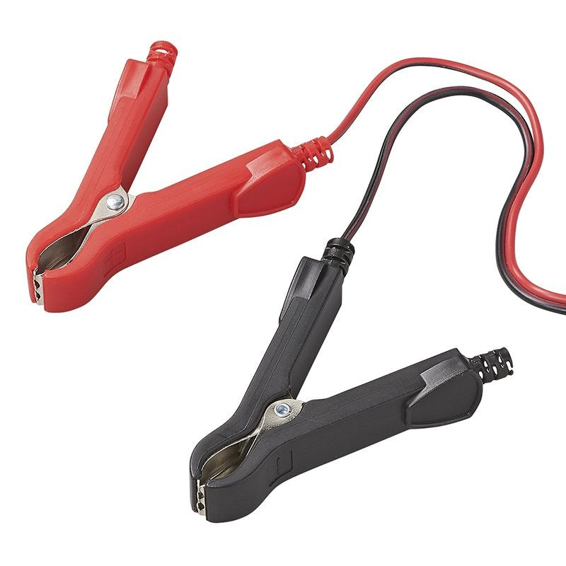 Chargeur de batterie 6V/12V 8Amp.