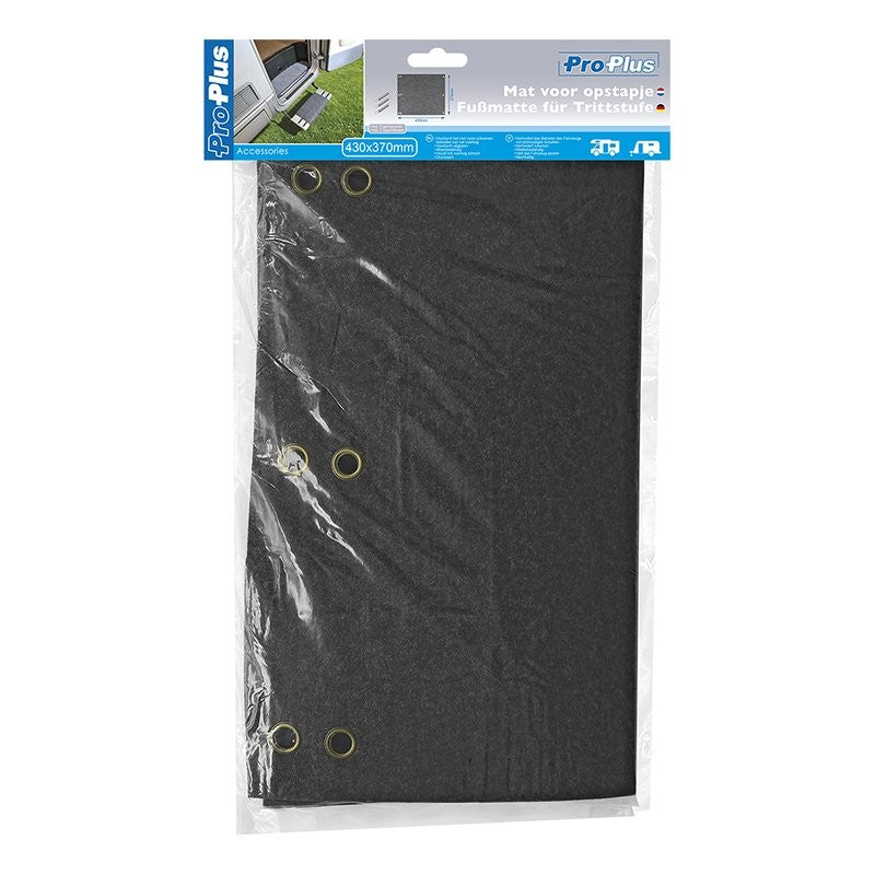 Tapis brosse pour marche pied