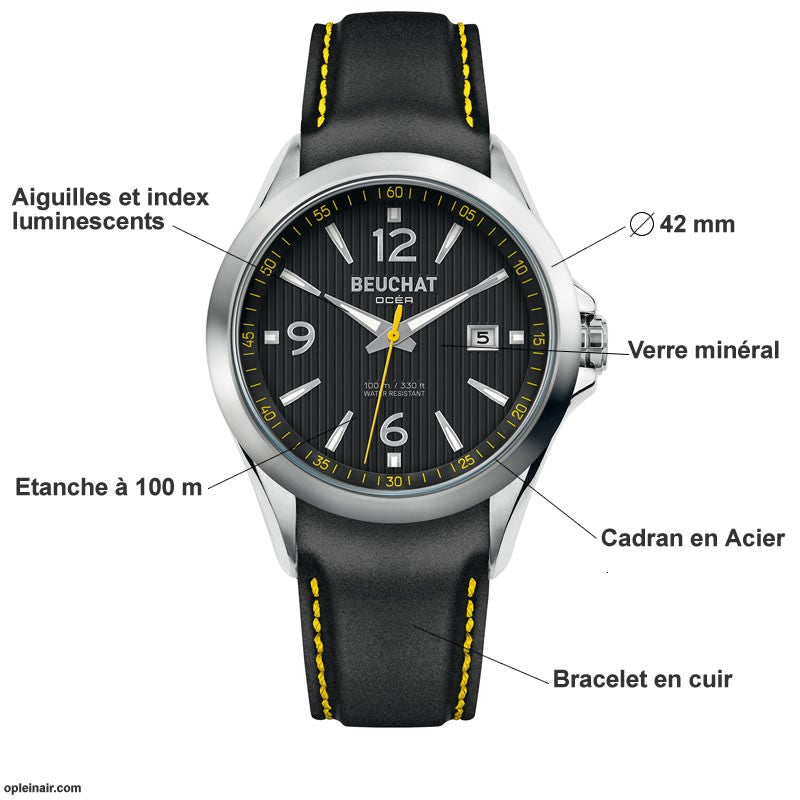 Montre étanche 100 mètres cadran 42 mm - BEUCHAT