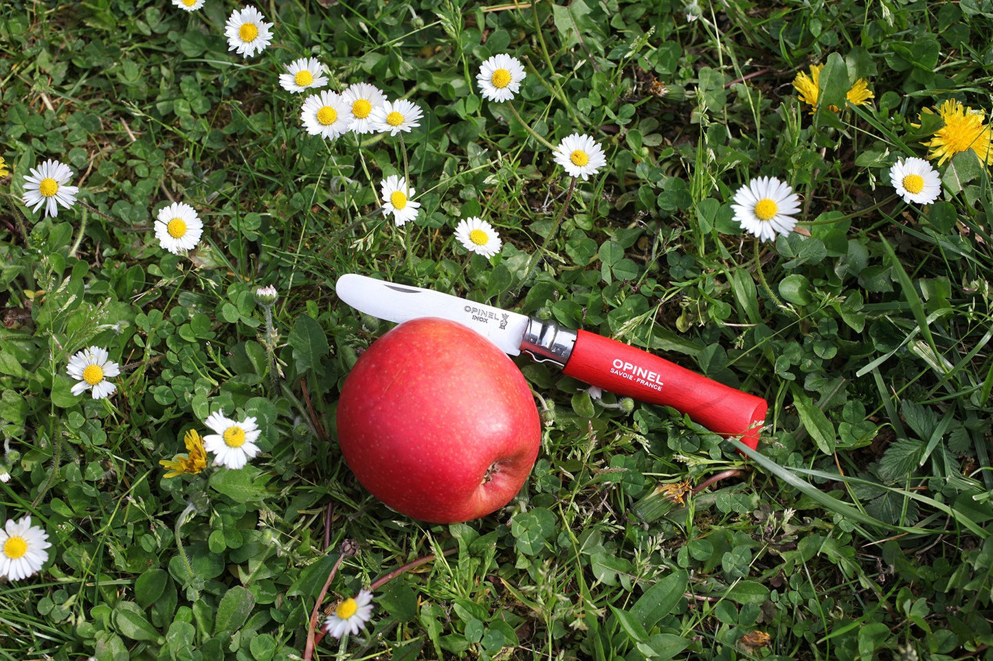 Opinel n°7 bout rond pour enfants - Rouge