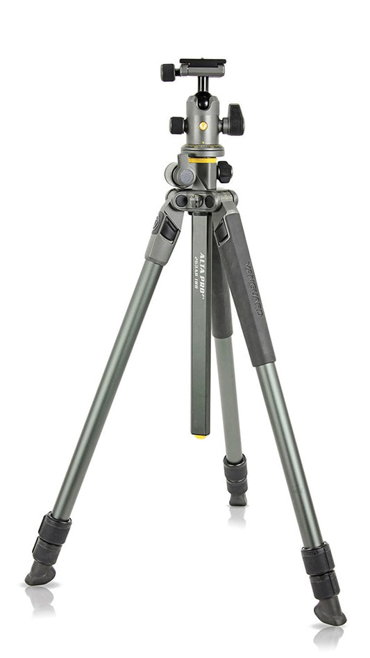 Trepied Alta Pro 2+ 263Ab 100  | Vanguard