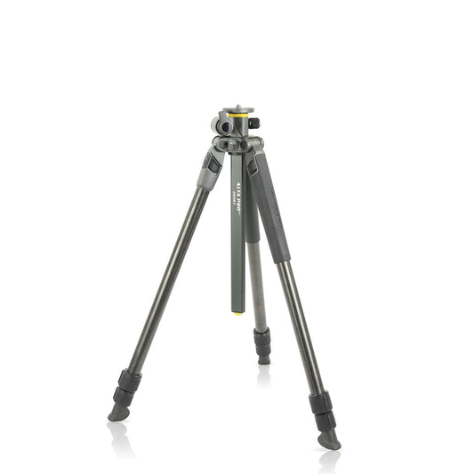 Trepied Alta Pro 2+ 263Cb 100  | Vanguard