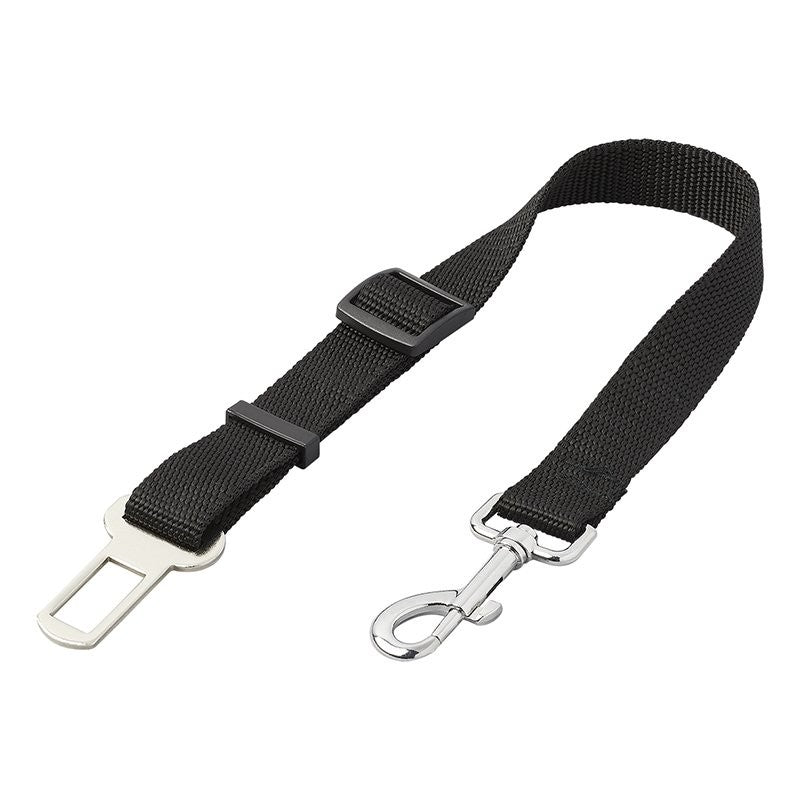 Laisse ceinture de sécurité pour chien