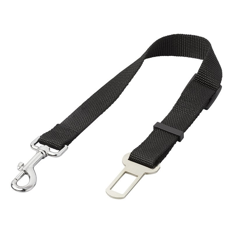 Laisse ceinture de sécurité pour chien