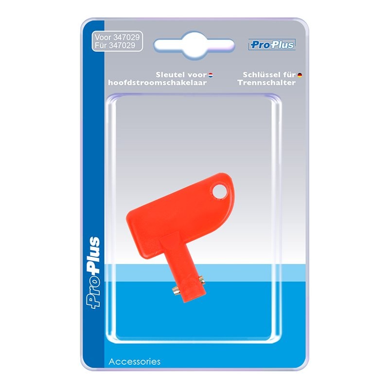 Clé pour interrupteur principal 347029 dans blister