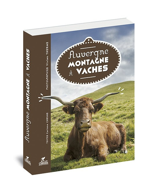 Auvergne Montagne A Vache