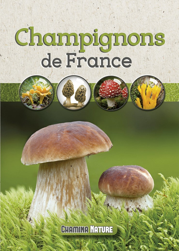 Champignons De France