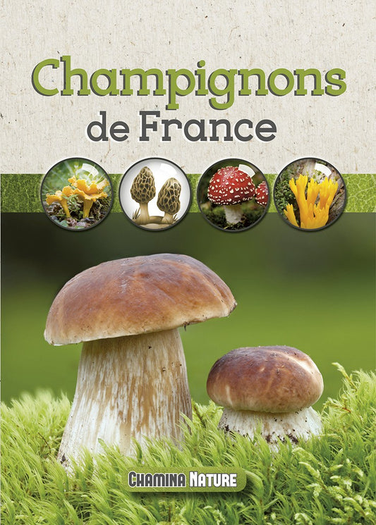 Champignons De France