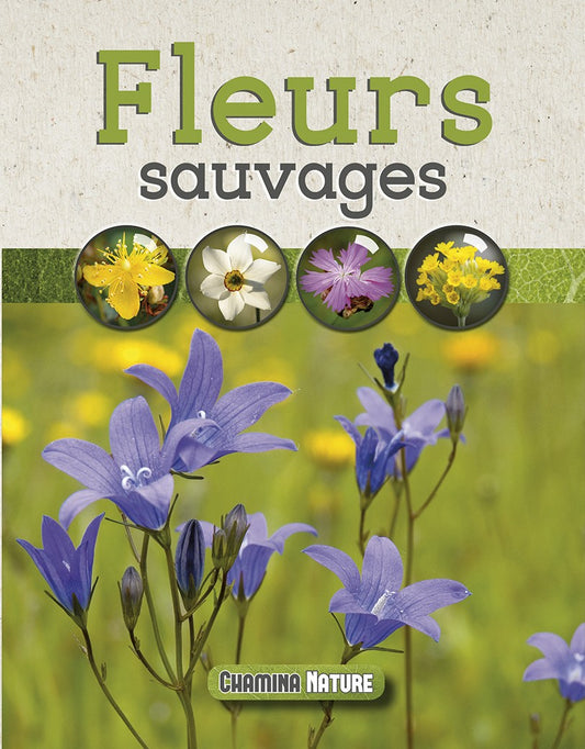 Fleurs Sauvages