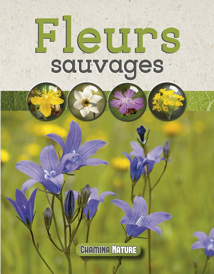 FLEURS SAUVAGES