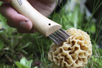 Couteau champignon Opinel 8 avec brosse